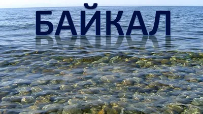 Прикольные картинки про Байкал (30 лучших фото)