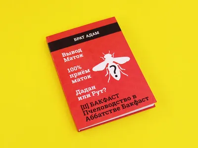 Пчелы бакфаст: характеристика, достоинства и недостатки | Пчёлушки - о  пчёлах и мёде | Дзен