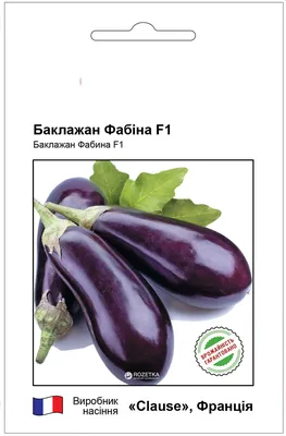 Купить Баклажан Дестан 5шт недорого по цене 42руб.|Garden-zoo.ru