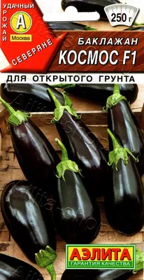 Баклажан (Solanum melongena) - PictureThis