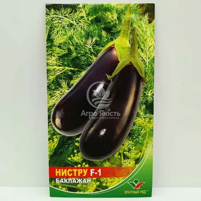 Семена САДОВИТА Баклажан Черный красавец 0.3 г 00191966 - выгодная цена,  отзывы, характеристики, фото - купить в Москве и РФ