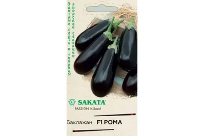 Купить семена Баклажан Рома F1 (10 шт) в Минске. Доставка почтой по РБ