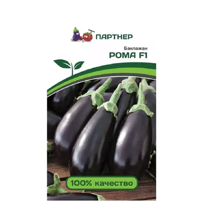 Баклажан Рома F1 (1 000 сем.) купить семена по цене 1 960 ₽ за 1 000 сем.