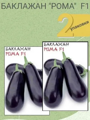 Купить семена баклажанов почтой в Беларуси в интернет-магазине, каталог  семян с ценами