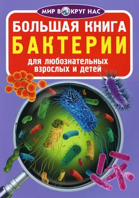 Нижегородские учёные научились различать бактерии по нанодвижению -  Университет Лобачевского