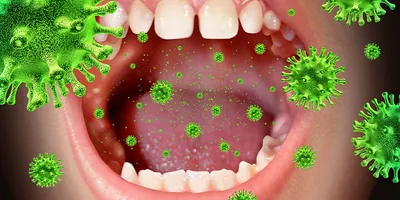пероральный микробиом. здоровые пробиотические бактерии во рту человека.  Иллюстрация вектора - иллюстрации насчитывающей заболевание, гигиена:  239549078