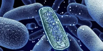 Иллюстрация Зуба С Бактериями Во Рту — стоковая векторная графика и другие  изображения на тему Бактерия - Бактерия, Болезнь, Вдавленный - iStock