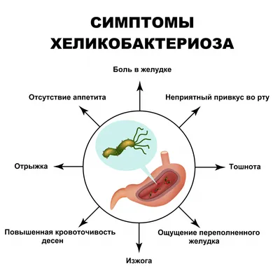 Ученые выяснили, что бактерии полости рта вызывают абсцесс головного мозга  - Газета.Ru | Новости