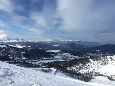 Bakuriani Ski Resort, Бакуриани: лучшие советы перед посещением -  Tripadvisor