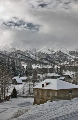 Отдых в Бакуриани, туры в Бакуриани