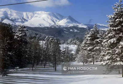 Бакуриани, Грузия: описание, отели, туры