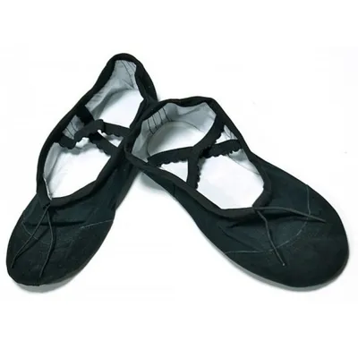 Балетки для танцев с кожаным носком БК черные - купить в интернет-магазине.