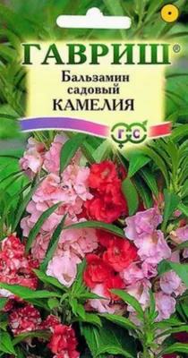 Бальзамин Камелия садовый, смесь 0,1 гр. купить оптом в Томске по цене  15,62 руб.