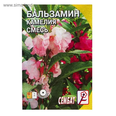 Семена цветов Бальзамин смесь \"Камелия\", О, 0,2 г (4662871) - Купить по  цене от 13.10 руб. | Интернет магазин SIMA-LAND.RU