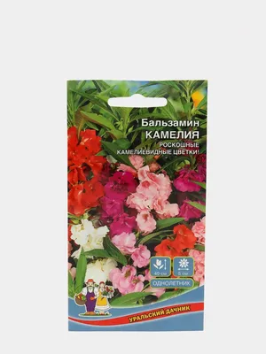 Бальзамин Камелия (семена,цветы) купить по цене 49 ₽ в интернет-магазине  KazanExpress