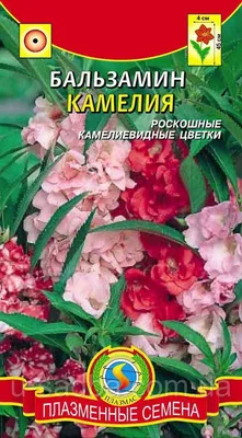 Бальзамин цветучая Камелия, смесь | Leda Agro