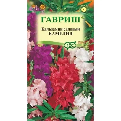 Бальзамин Камелия 0,2 г (Плазменные семена) (ID#737314726), цена: 6.47 ₴,  купить на Prom.ua