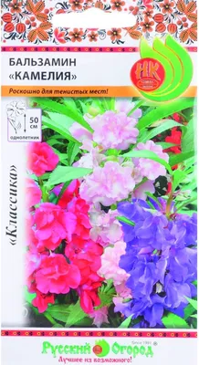 Бальзамин Камелия садовый 0,2 г купить по цене 40 ₽ в интернет-магазине  KazanExpress