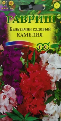 Бальзамин Цветущая Камелия, смесь 0,5 г (ЛАН) (ID#1095666846), цена: 9 ₴,  купить на Prom.ua