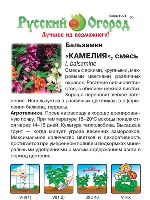 Бальзамин Камелия смесь 1 г GL Seeds (ID#1443357160), цена: 5.50 ₴, купить  на Prom.ua