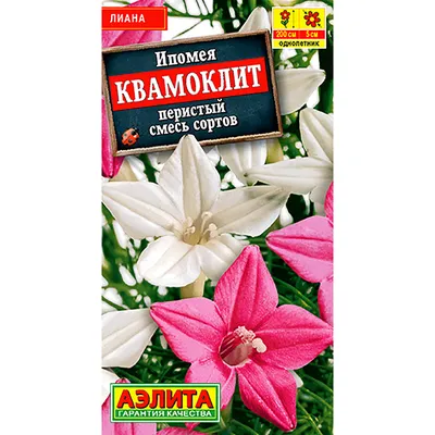 Семена цветов Бальзамин смесь \"Камелия\", О, 0,2 г (4662871) - Купить по  цене от 13.10 руб. | Интернет магазин SIMA-LAND.RU