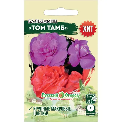 Купить цветы бальзамин том тамб 0,2г по оптимальной цене. Строительные  материалы оптом и в розницу с доставкой