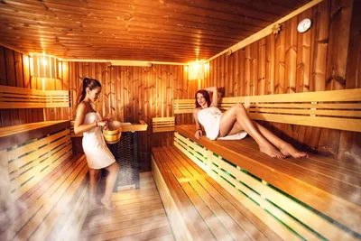 Экспорт в Германию: бревенчатые бани под заказ - dominant-wood.com.ua