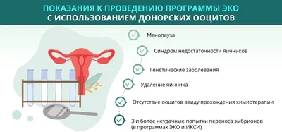 О центре IVF Банк