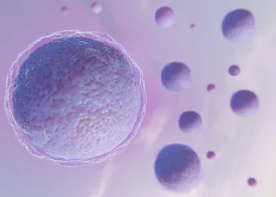 100+ доноров спермы для зачатия – каталог анкет мужчин с фото