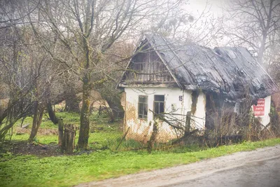 Станица Баракаевская | Из столицы в станицы | Дзен