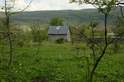 Жизнь замечательных людей в станице в Предгорье Краснодарского Края |  Большое путешествие 🌏 | Дзен