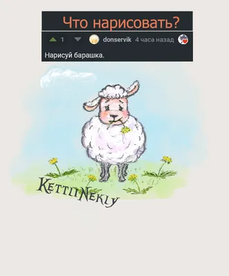 Белый барашек - 66 фото