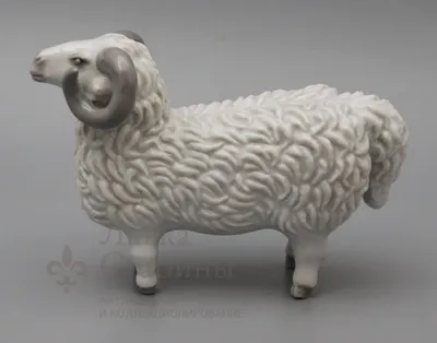 Барашек | Cute cartoon animals, Cartoon animals, Cute animals