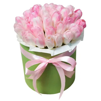 Олицетворение весны - бархатные тюльпаны 🤤 Удивляйте любимых вместе с нами  🕊 Количество Тюльпанов ограниченно Не такие… | Instagram