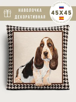 Бассет хаунд