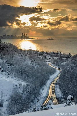 А что в Батуми зимой 💙 ? Этот город славится солнечным теплом и красивой  набережной с множеством развлекательных заведений 👍 Зимой… | Instagram