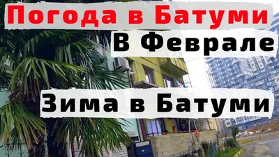 Зимний Батуми (лет пять назад) | Пикабу