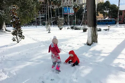 Сказочная атмосфера субтропического Батуми