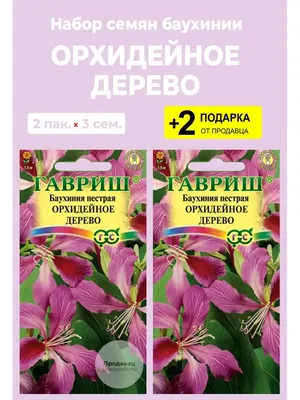 Баухиния орхидейное дерево 3 шт Гавриш: купить в Новосибирске по цене от  31.21 руб — интернет-магазин «Красный бант»