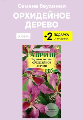 Баухиния \"Орхидейное дерево\" семена цветов купить по цене 89 ₽ в  интернет-магазине KazanExpress