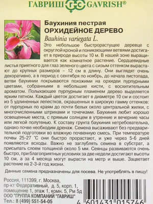 Баухиния Шикарное, пышное, орхидейное …» — создано в Шедевруме