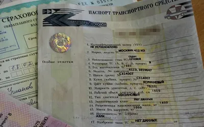 Как проверить ПТС по базе ГИБДД 🔍 — проверка авто Автокод