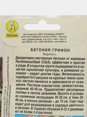 Бегония Грифон купить в Рубцовске | Товары для дома и дачи | Авито