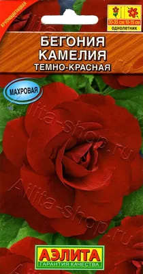 Бегония Камелия микс луковица 5/6 – купить в Алматы по цене 2090 тенге –  интернет-магазин Леруа Мерлен Казахстан