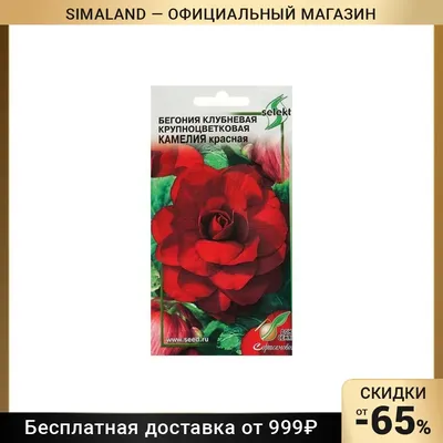 Бегония крупноцветковая Камелия, смесь окрасок 10шт, семена | Купить в  интернет магазине Аэлита