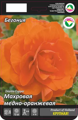 https://elsa.com.ua/ru/begoniya-mahrova-bila-10-drazhe-05211/