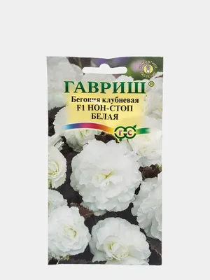 Бегония Нон стоп Белая (семена,цветы) купить по цене 99 ₽ в  интернет-магазине KazanExpress