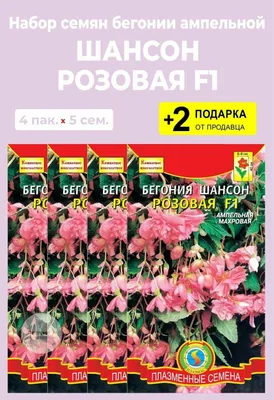 Бегония ампельная Иллюминейшн Микс' из каталога Бегония ПРОФИ – купить с  доставкой по Москве и России в Onlinesemena