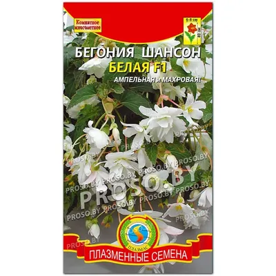 Семена бегония Семена Алтая Шансон 14101 1 уп. - купить в Москве, цены на  Мегамаркет