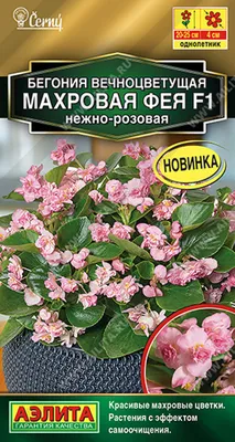 Бегония вечноцветущая махровая Квин Микс. Купить семена оптом в  интернет-магазине - Интернет-магазин для профи «СЕМЕНА ТУТ»